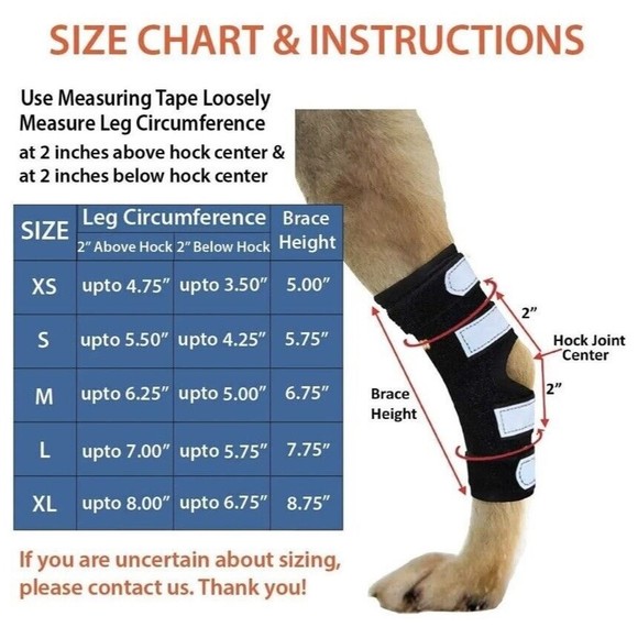 Neoally Dog/Cat Rear Leg Braces w/ Ultra Spring Support XS Long Injury Arthritis - Picture 5 of 16